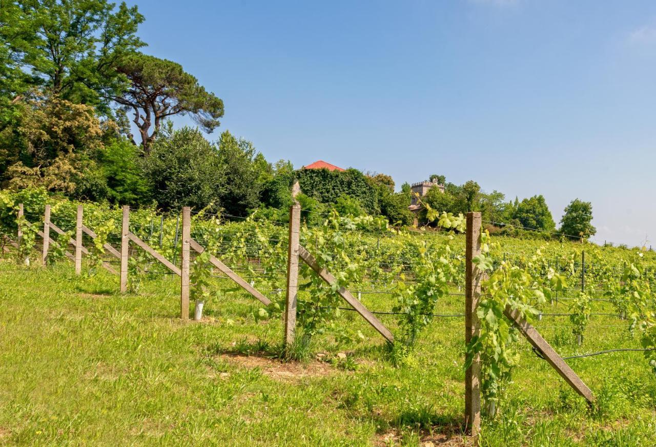 Braga House & Wine Villa Eksteriør billede